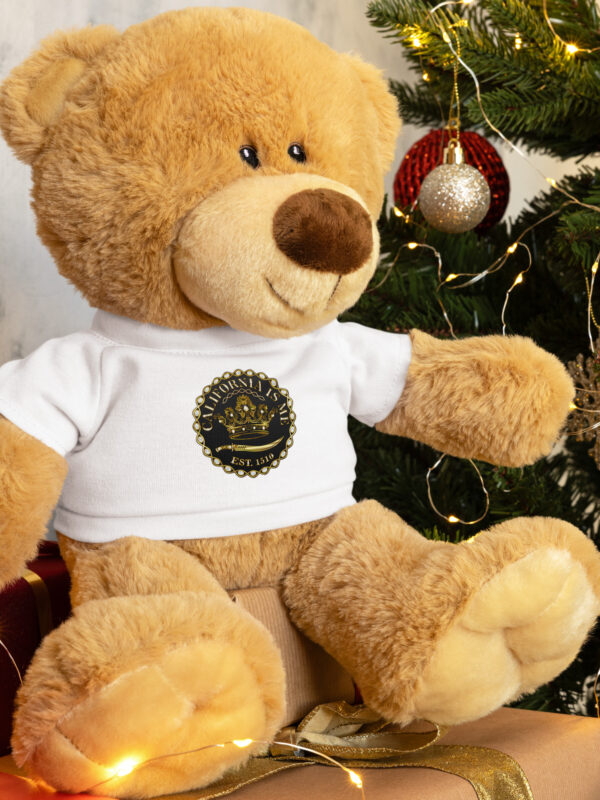 Teddy bear with a t-shirt