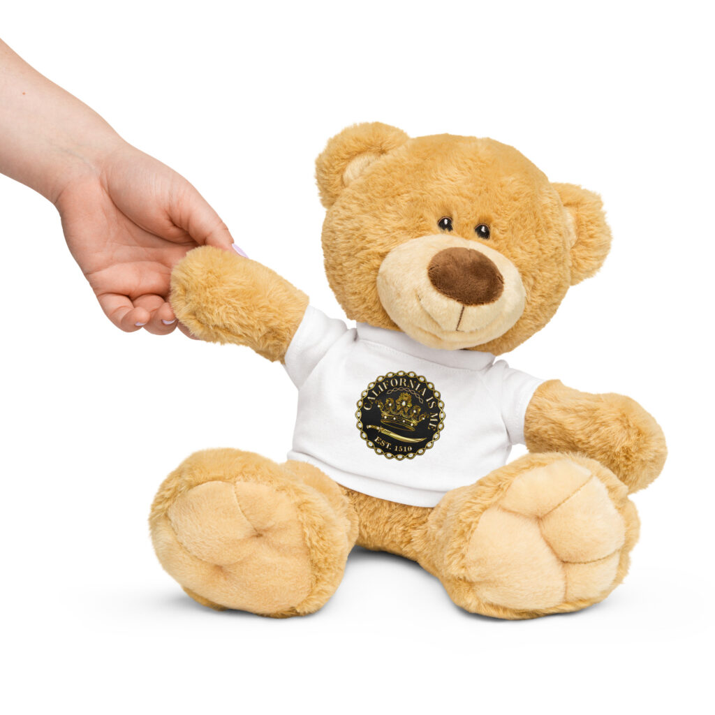 Teddy bear with a t-shirt - Image 2