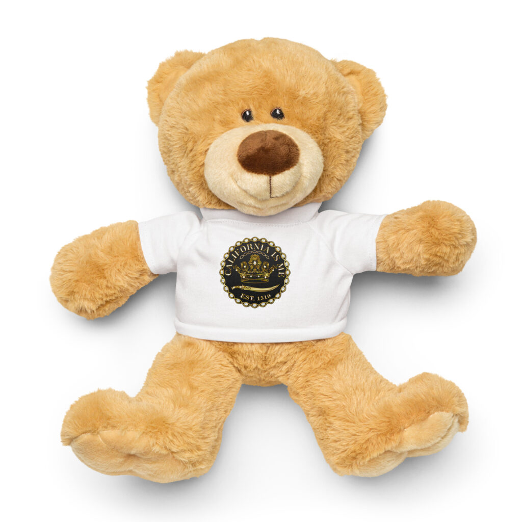 Teddy bear with a t-shirt - Image 3