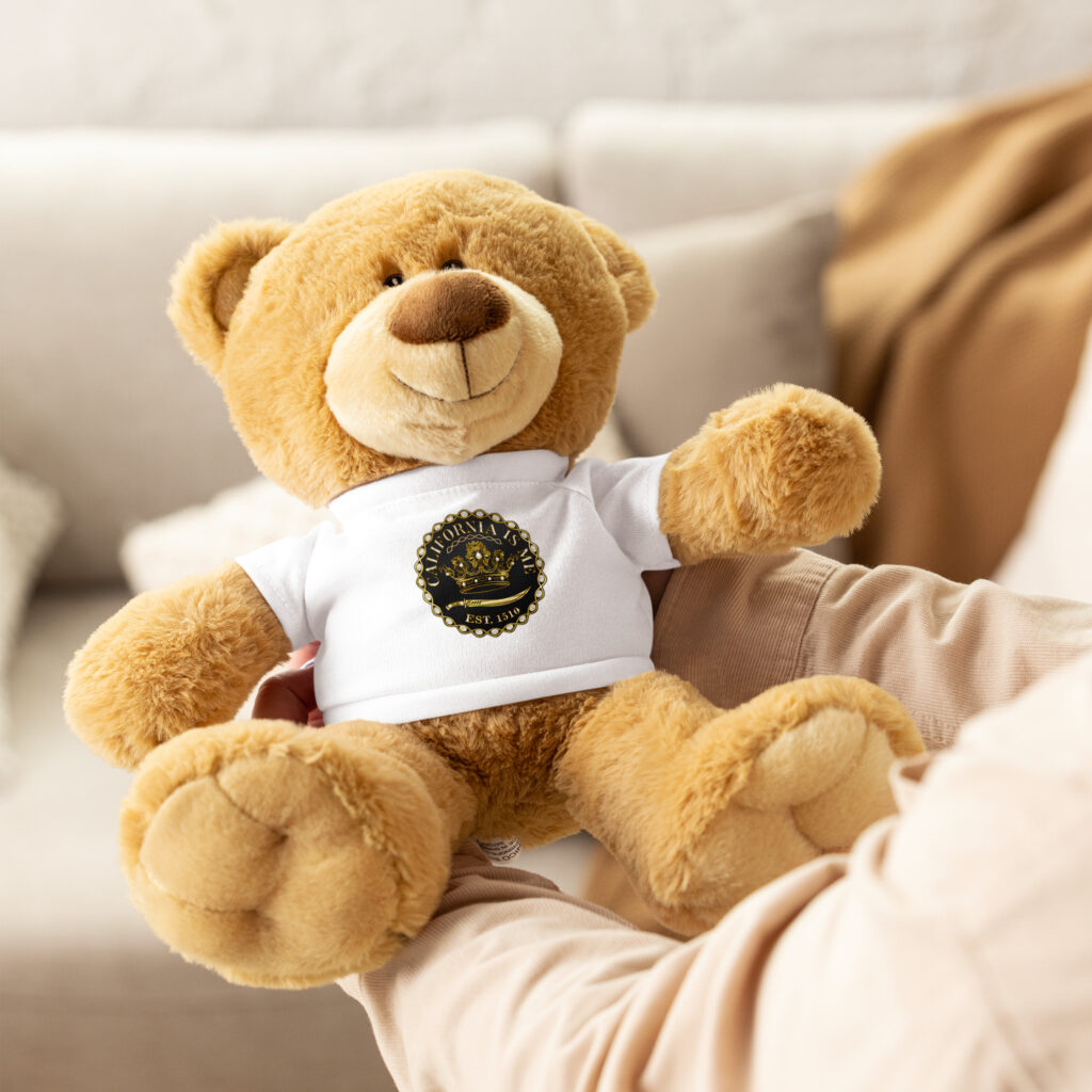 Teddy bear with a t-shirt - Image 4