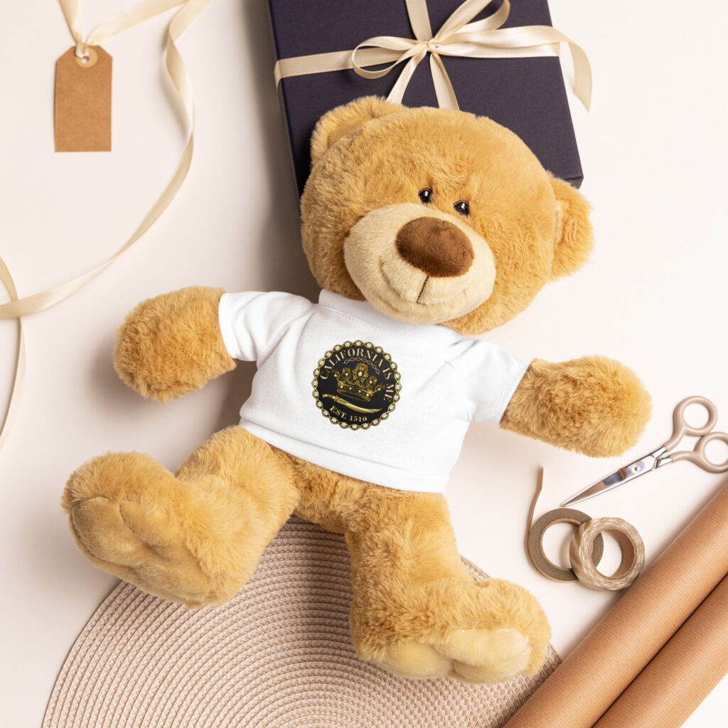 Teddy bear with a t-shirt - Image 5